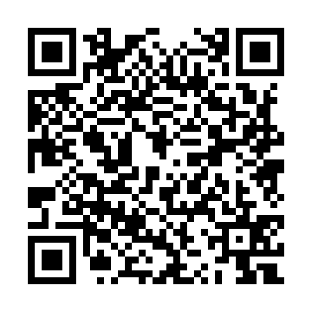 QR code for ZZP9353
