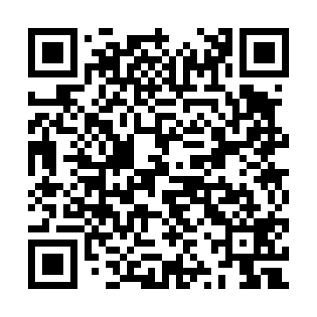 QR code for ZZS419