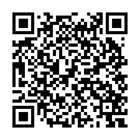 QR code for ZZW207