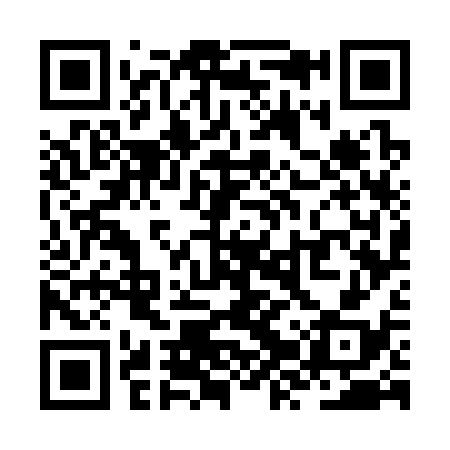 QR code for ZZW338