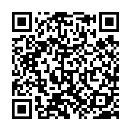 QR code for ZZX609
