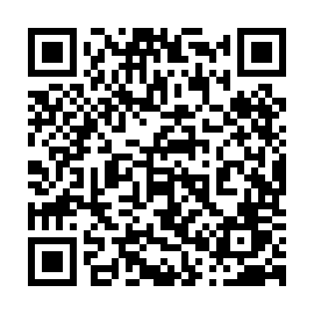 QR code for 008POV