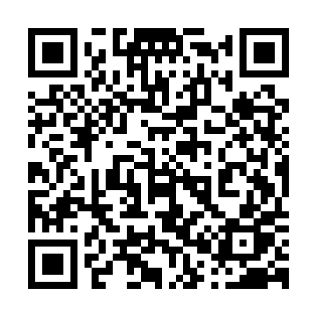 QR code for 009APP