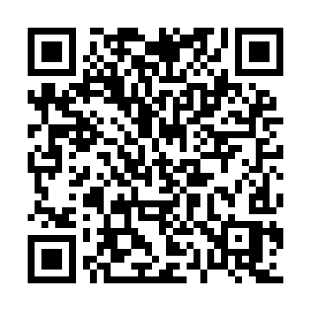 QR code for 010IIS