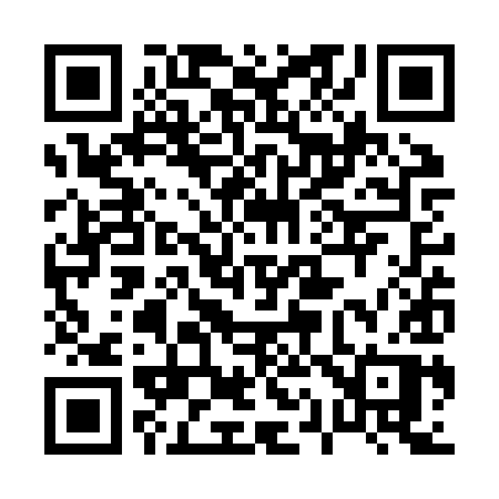 QR code for 013ZYP