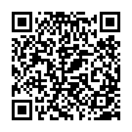 QR code for 038DLP