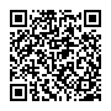 QR code for 038HYS