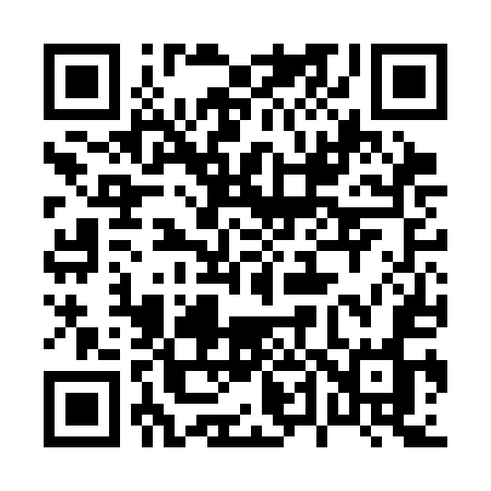 QR code for 046CEO
