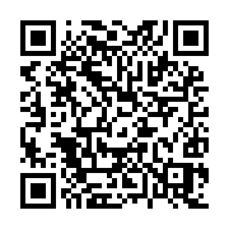 QR code for 063IIS