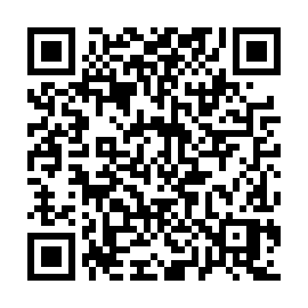 QR code for 100DYP
