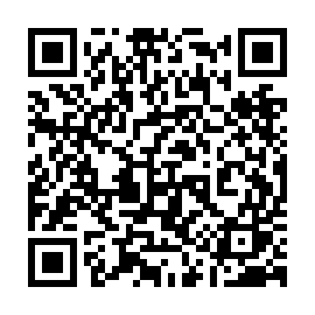 QR code for 111NES