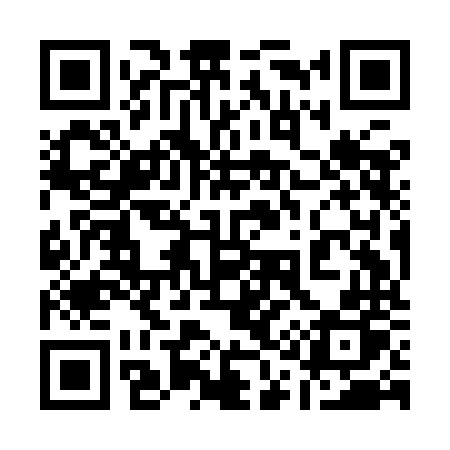 QR code for 119INP