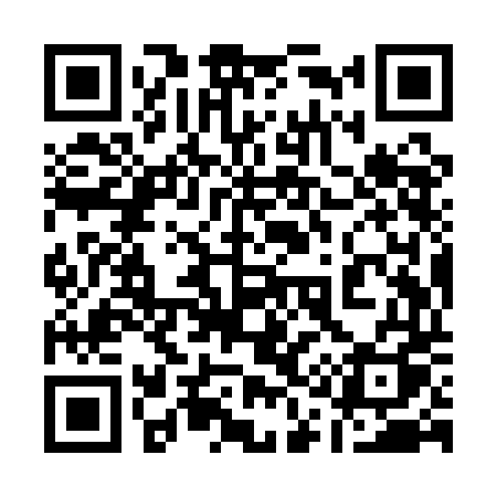 QR code for 119QDQ