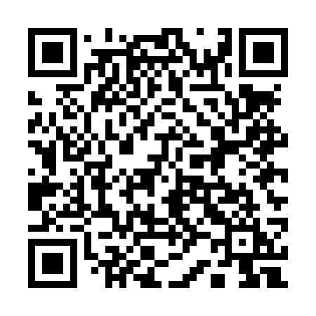 QR code for 125LSI