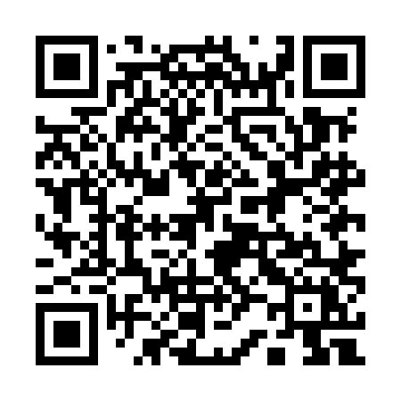 QR code for 125MLX