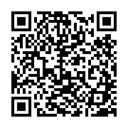 QR code for 133DLI