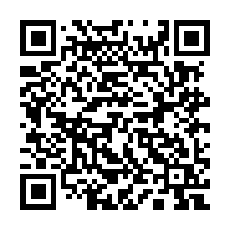 QR code for 141MIS
