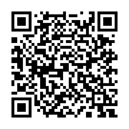 QR code for 161DOI
