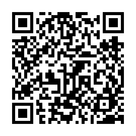 QR code for 161FIB