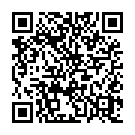 QR code for 161MEX