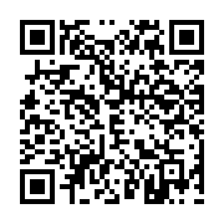 QR code for 161MFG