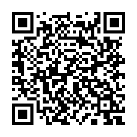 QR code for 161MZN