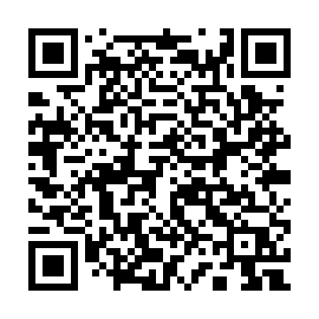 QR code for 161PUP