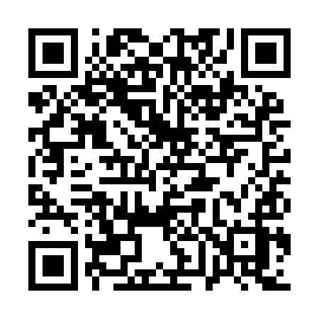 QR code for 161YIZ
