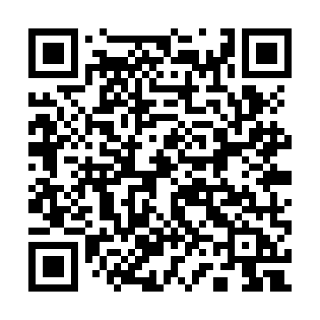QR code for 161ZMB