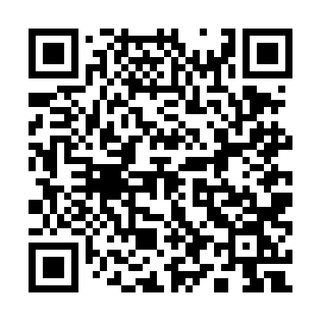 QR code for 196DLN