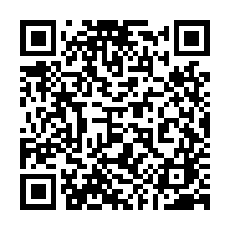 QR code for 196LUC