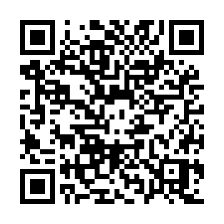 QR code for 196MGP