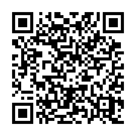 QR code for 196SDX