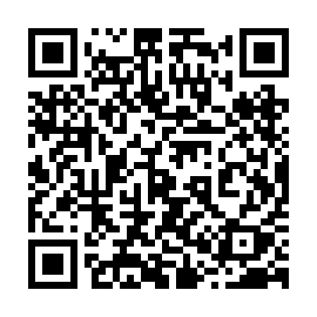 QR code for 201RAY