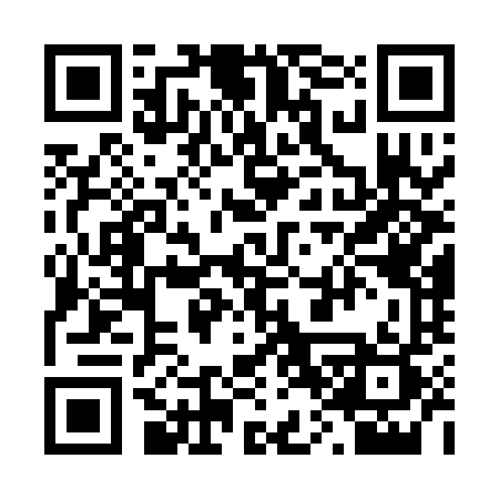 QR code for 203QLQ