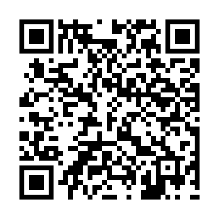 QR code for 203WSP
