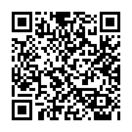 QR code for 205MHZ