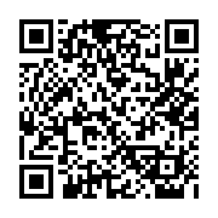 QR code for 206LPI