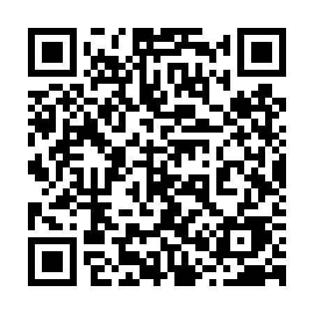 QR code for 206TSE