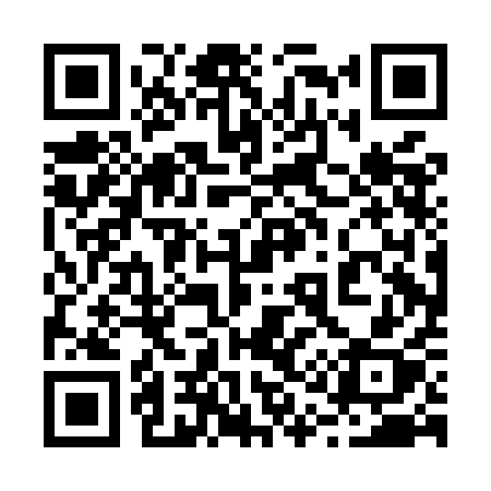 QR code for 210MAX