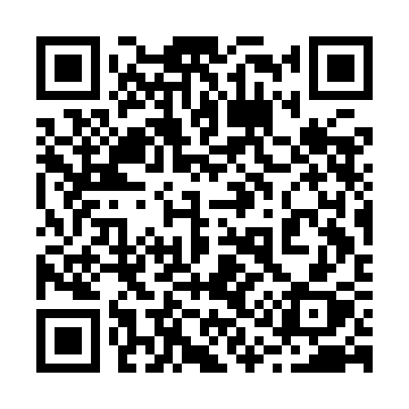 QR code for 213ICX