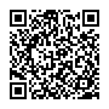 QR code for 213MYO