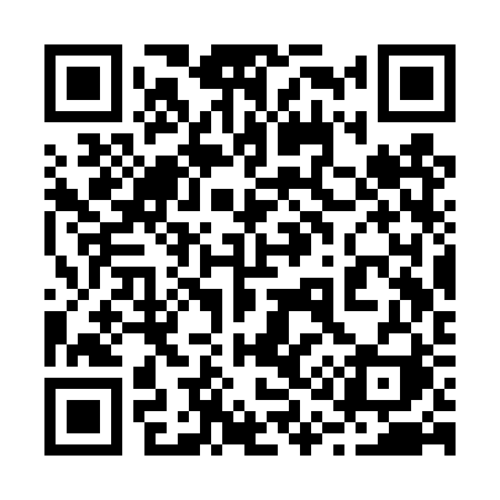QR code for 213TRI