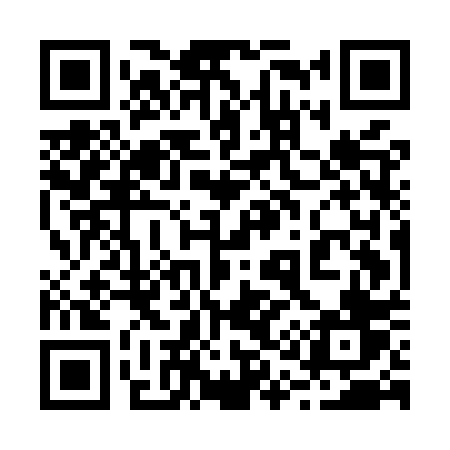 QR code for 215MPV