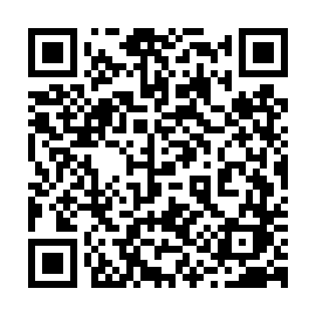 QR code for 217DTK