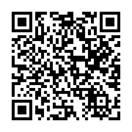 QR code for 217IIT