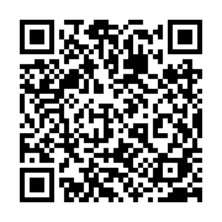 QR code for 219RPI