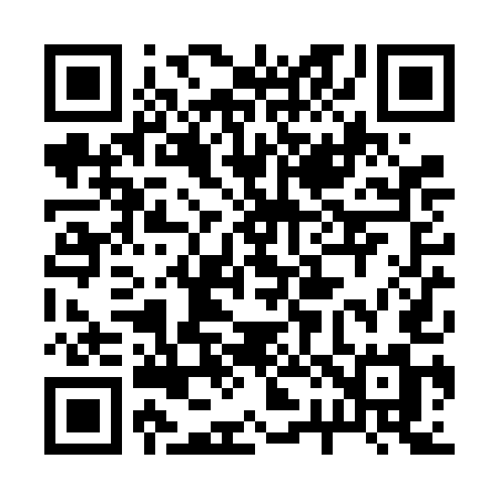 QR code for 220VEM