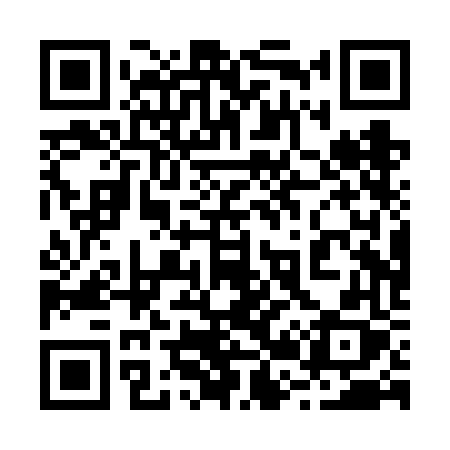 QR code for 220VFX