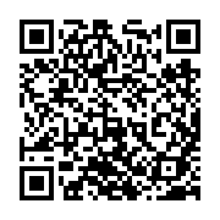 QR code for 220VXI